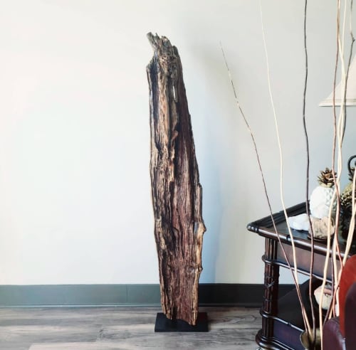 Large Driftwood Sculpture Art Object "Gaping Undulation" | Sculptures by Sculptured By Nature  By John Walker