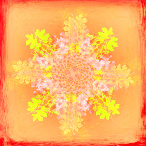 Botanical mandala #7 | Photography by Louise O'Gorman