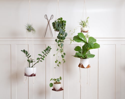 Double Leather Plant Hammock | Plant Hanger in Plants & Landscape by Keyaiira | leather + fiber | Artist Studio in Santa Rosa