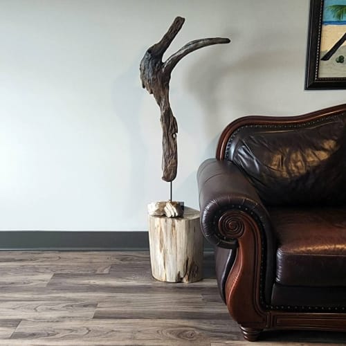 Driftwood Sculpture "Mirthful Maguari" | Sculptures by Sculptured By Nature  By John Walker