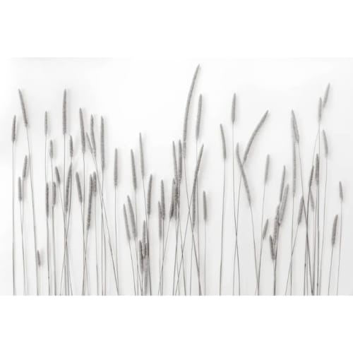 L. Blackwood - Gathering of Grasses | Photography by Farmhaus + Co.
