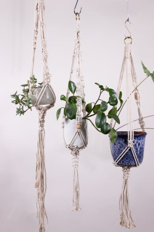 Sample Plant Hangers | Plants & Landscape by Modern Macramé by Emily Katz