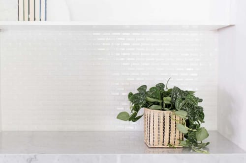 6" Satin Pothos + Planter Basket | Vases & Vessels by NEEPA HUT
