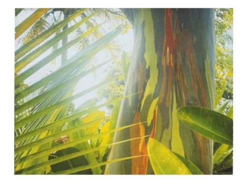 Wooden Rainbow | Photography by She Hit Pause