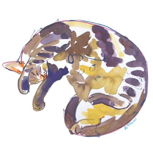 Curled up Cat | Paintings by Gill Vines Artist
