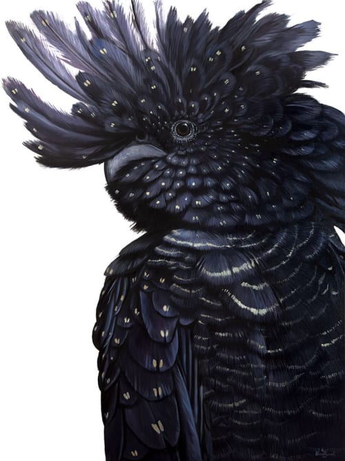 Roxy - Red-tailed Black Cockatoo | Oil And Acrylic Painting in Paintings by Ebony Bennett - Birdwood Illustrations