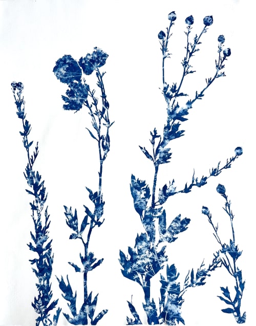 Summer Poppies: 30 x 22" unframed cyanotype painting | Paintings by Christine So