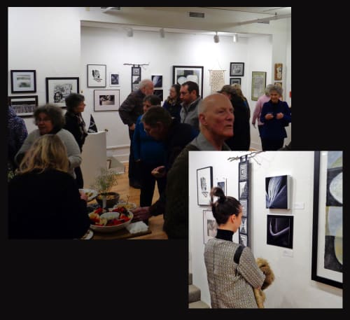 Black and White, juried exhibit,  "Saffron" and "Botanical Dance" | Photography by Mary Gerakaris, photographer | Library Arts Center in Newport