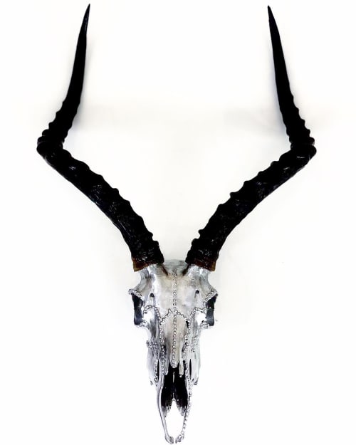 Impala African Skull | Ornament in Decorative Objects by Gypsy Mountain Skulls