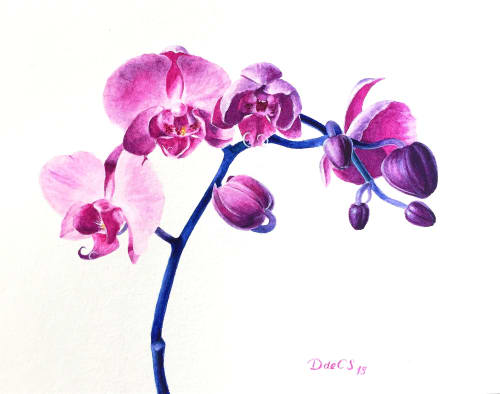 Watercolor Orchids | Paintings by Daniela de Castro Sucre - DanielaPaints | Private Residence in Pensacola