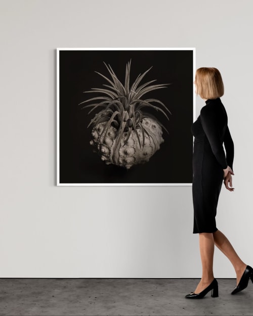 Ethereal Bloom | Photography by Tal Shpantzer | Talfoto Studio