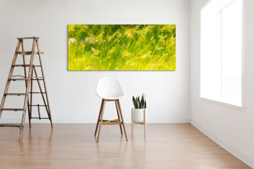 Christine's Garden, an Impression #5610 For Trade Only | Photography by Caroyl La Barge›