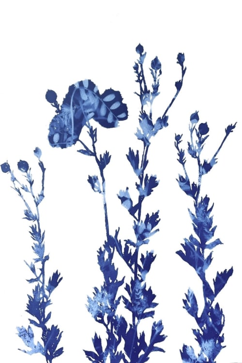 Delft Tree Poppies III (18 x 12" Cyanotype Painting) | Mixed Media in Paintings by Christine So