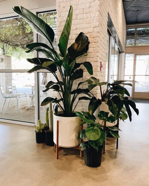 The Fourteen w/ Stand Planter | Vases & Vessels by LBE Design | SoPo Roasting and Brewing Co. in Albuquerque