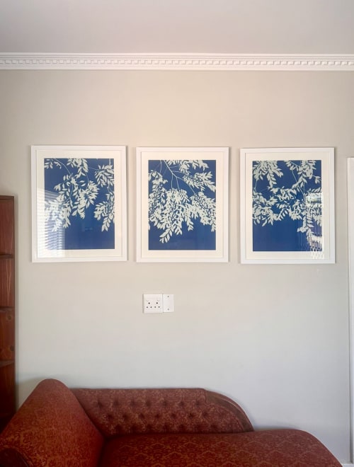 Chinese Elm Triptych: three 24x18" cyanotypes/ 24x54" total | Paintings by Christine So