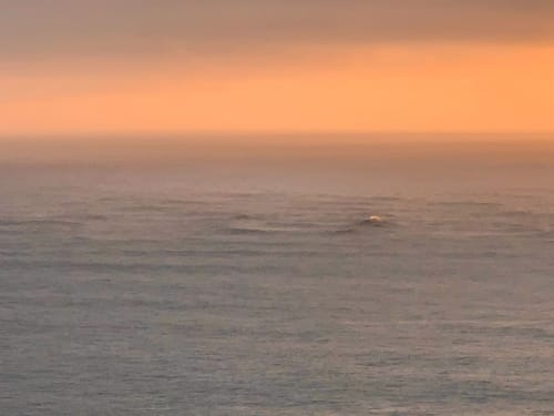 Sunset on the Pacific Ocean -New Year’s Day, Marin Co. | Photography by Marianne Owens