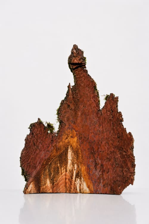Nemoral Peak | Decorative Objects by Raulferc