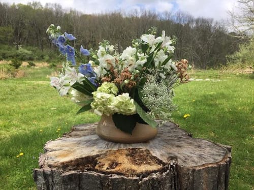 Shallow Planter | Vases & Vessels by Jacklyn Scott Studios | Peters Valley School of Craft in Layton