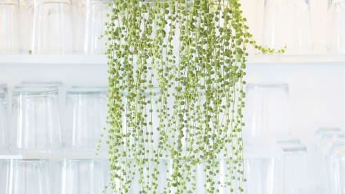 Sofreh, Restaurants, Interior Design
