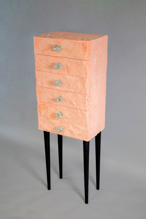 Cuscous Cabinet | Storage by Gavin Stanley Keightley | Plymouth in Plymouth
