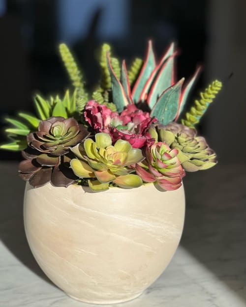 Succulents Arrangement | Floral Arrangements by Fleurina Designs