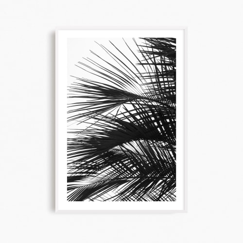 Minimalist palm tree wall art, 'Palm Fronds' photograph | Photography by PappasBland