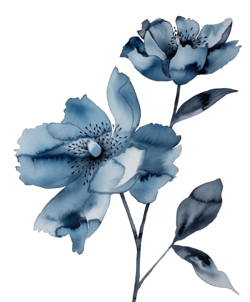 Peony No. 2 : Original Watercolor Painting | Paintings by Elizabeth Becker