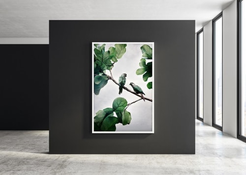 Comfort Me Conures | Photography by Alice Zilberberg