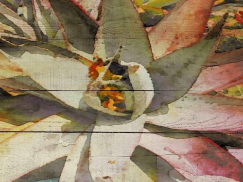 Succulent Melody | Oil And Acrylic Painting in Paintings by Irena Orlov