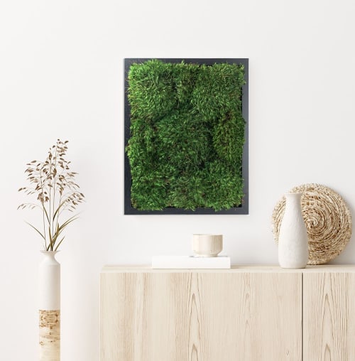 100% Live Moss Wall Art in Black | Decorative Objects by Moss Pure