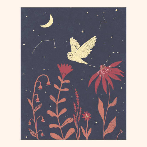 Night Owl | Prints by Elana Gabrielle