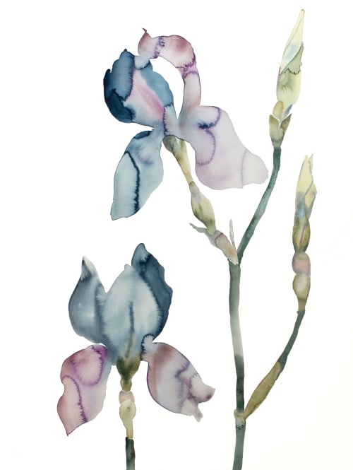 Iris No. 196 : Original Watercolor Painting | Paintings by Elizabeth Becker