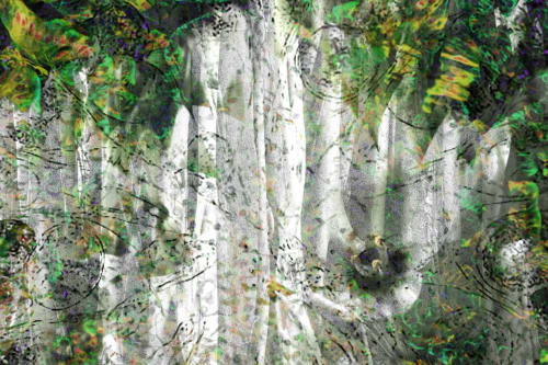 BIOPHILIA 3 | Prints by Costas Picadas