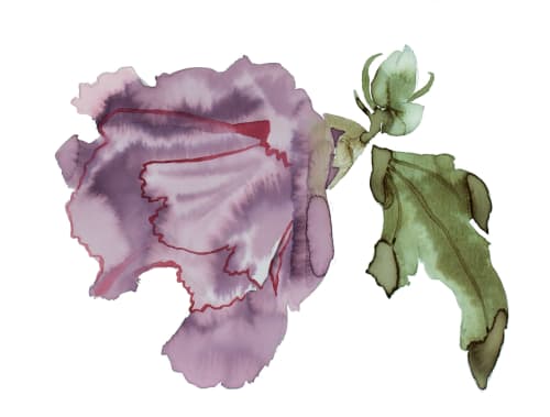 Hibiscus No. 7 : Original Ink Painting | Watercolor Painting in Paintings by Elizabeth Becker