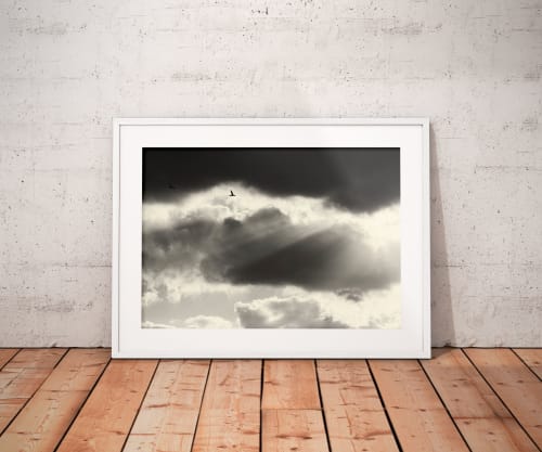 Two | Limited Edition Print | Photography by Tal Paz-Fridman | Limited Edition Photography