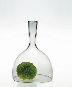 Cloche | Flask in Vessels & Containers by Esque Studio