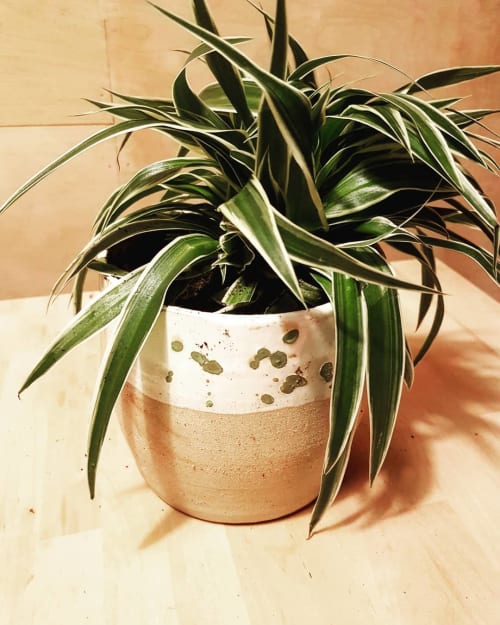 Plant Pot | Vases & Vessels by Black Shed Ceramics