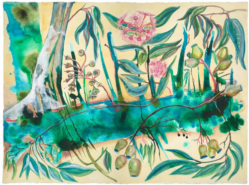 Eucalyptus Gumnut Flowers | Paintings by Amy Hooton | Merienda in Stockbridge