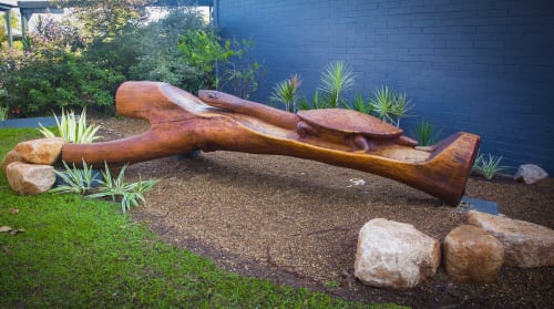 Northern Long-Neck Turtle | Public Sculptures by Joel Mitchell | Anula Primary School in Anula