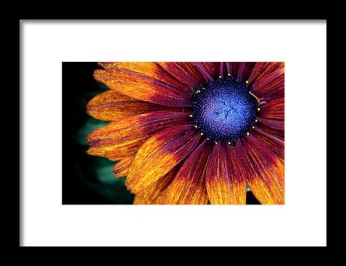 Colors Inside Framed Print | Paintings by Vanessa Thomas