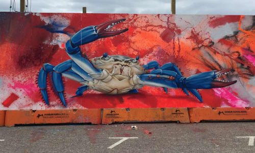 Female Blue Crab