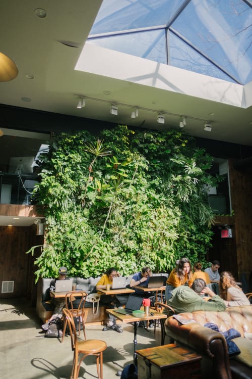 Live Vertical Garden Wall | Plants & Landscape by Laurent Corradi (Plant Wall Design) | Devoción in Brooklyn