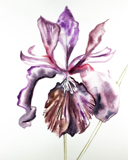 Iris No. 91 : Original Watercolor Painting | Paintings by Elizabeth Becker