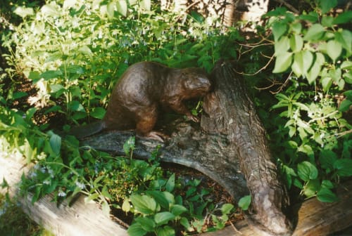 Beaver - Natural Engineer | Public Sculptures by Don Begg / Studio West Bronze Foundry & Art Gallery | Calgary in Calgary
