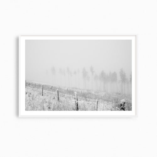 Black and white "Forest Edge" winter landscape photograph | Photography by PappasBland