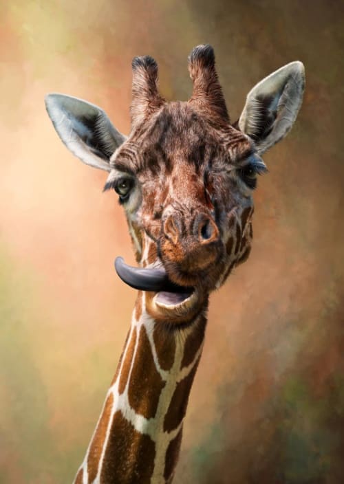 Yum! | Photography by Judy Reinford