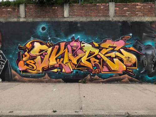 Skore | Street Murals by Skore999