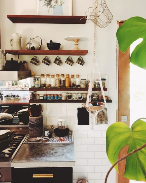 Single Plant Hanger | Plants & Landscape by Modern Macramé by Emily Katz | Private Residence - Portland OR in Portland