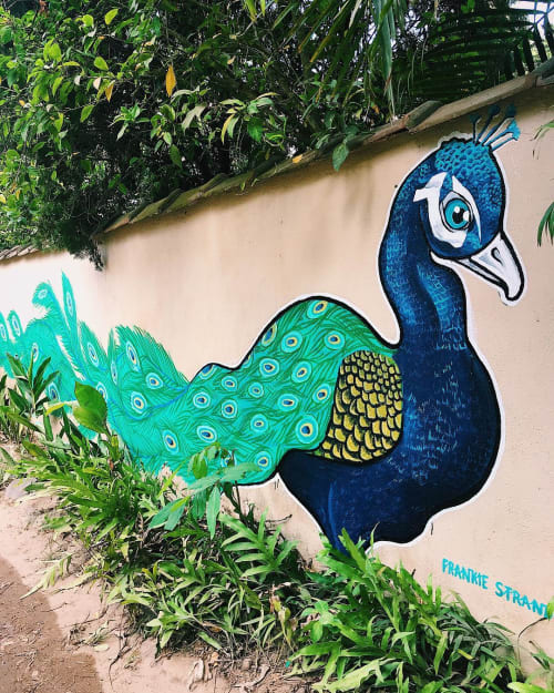 A Peacock Mural | Murals by Frankie Strand | French Lotus in Unawatuna