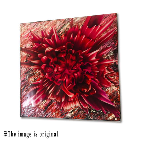 Petals for Novae(RUSSIAN RED ver.) | Paintings by KENDY